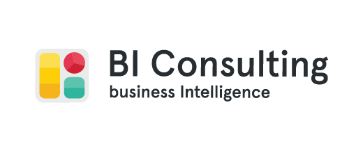 BI Consulting